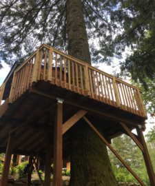 View looking up at playhouse deck railing