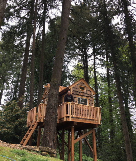 The hobbit house platform playhouse